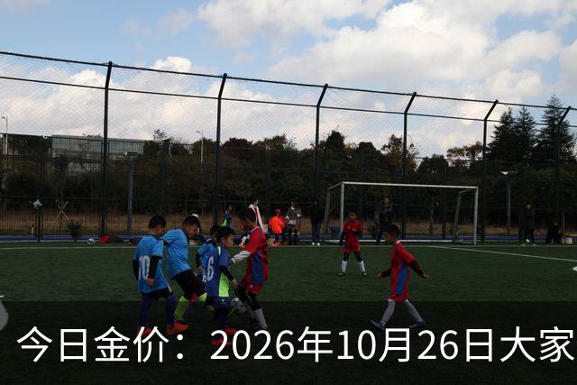 今日金价：2026年10月26日大家做好准备！接下来，黄金可能历史重演