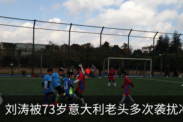 刘涛被73岁意大利老头多次袭扰冲上热搜