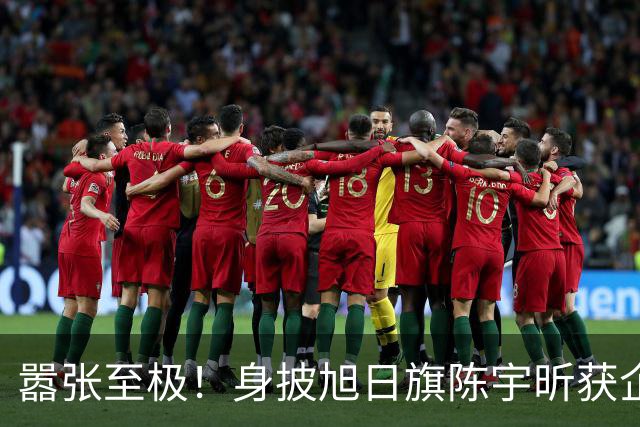 嚣张至极！身披旭日旗陈宇昕获企业公开支持：一起披！汤家凤痛斥