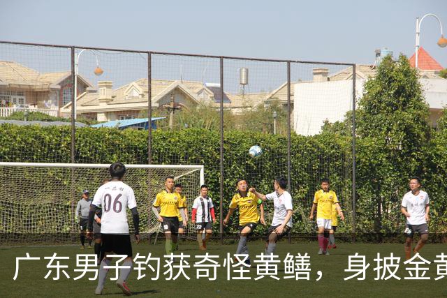 广东男子钓获奇怪黄鳝，身披金黄蟒纹，网友：快放生！准备化蛟了！