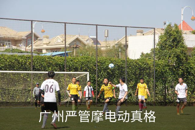 广州严管摩电动真格