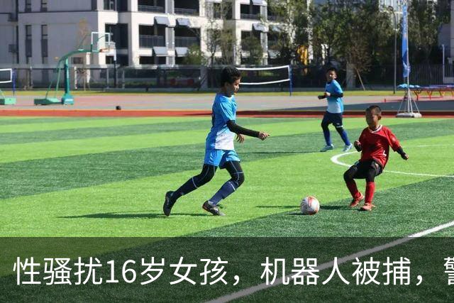 性骚扰16岁女孩，机器人被捕，警察懵了