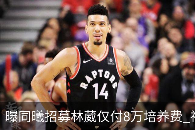 曝同曦招募林葳仅付8万培养费 神操作奠定未来