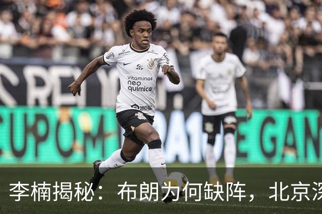 李楠揭秘：布朗为何缺阵，北京深层考量曝光