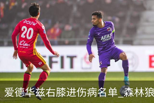 爱德华兹右膝进伤病名单 森林狼战骑士存变数