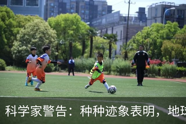 科学家警告：种种迹象表明，地球或许正进入"第六次生物大灭绝"