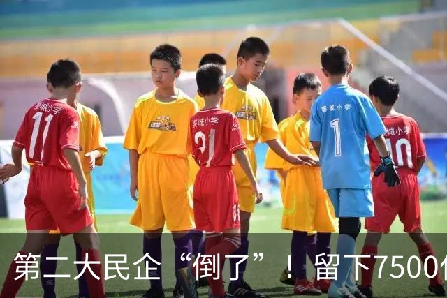 第二大民企“倒了”！留下7500亿债务窟窿，创始人被抓股权清零