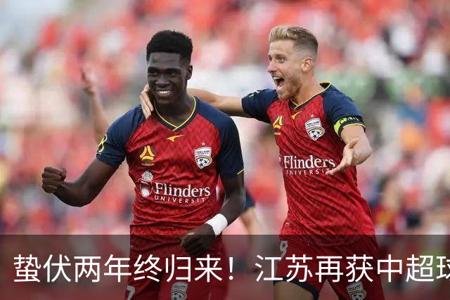 蛰伏两年终归来！江苏再获中超球队，球迷热议下赛季保级难题